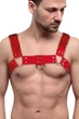 Мужская портупея на грудь кожаная Feral Feelings Bulldog Harness One Size Красная - изображение 1