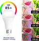 Розумна лампочка Albrillo, багатобарвна RGB, 2700-6000K, 800 Lm, E27, 9 Вт, комплект 2шт. - зображення 5