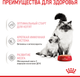 Вологий корм для вагітної/годуючої кішки та кошенят Royal Canin Mother & Babycat Cans 195 г (9003579311660) (4098002) - зображення 3