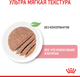 Вологий корм для вагітної/годуючої кішки та кошенят Royal Canin Mother & Babycat Cans 195 г (9003579311660) (4098002) - зображення 4