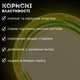 Сік апельсиновий (упаковка 8 шт) натуральний відновлений Avalanche 1 л (J-A-Orange-1L-pack8) - зображення 4