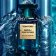 Парфюмированная вода для женщин Tom Ford Neroli Portofino 100 мл (888066008457) - изображение 4