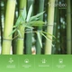 Подушка Sonex Bamboo Стандартная 50х70 см Бежевая (SO102159) - изображение 6