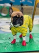 Вітровка для собак WAUDOG Clothes, малюнок "Сміливість", розмір L55 (5355-0231) - зображення 9