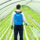 Аккумуляторный опрыскиватель Эволюшен Matabi 15 л - изображение 10