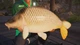 Fishing Sim World®: Pro Tour Xbox One Xs Ключ - зображення 4