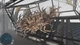 Deadliest Catch: The Game Xbox One Xs Ключ - зображення 3