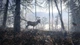 Thehunter: Call Of The Wild -Master Hunter Xbox Ключ - изображение 4