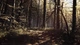 Blair Witch Xbox One/ X/S+Пк Ключ - изображение 6