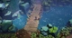Torchlight 3 Xbox One Xs Ключ - изображение 4