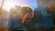 Biomutant: Xbox One/ X/S Ключ - изображение 5
