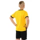 Форма футбольная детская Borussia Dortmund Боруссия SP-Planeta 6264 размер S (22) рост 120-125см Yellow-Black - изображение 3
