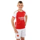 Форма футбольная детская Arsenal Арсенал SP-Planeta 6276 размер XS (20) рост 110-115см Red-White - изображение 1