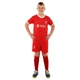 Форма футбольная детская Liverpool Ливерпуль SP-Planeta 6327 размер XS (20) рост 110-115см Red-White - изображение 7