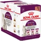 Упаковка влажного корма для взрослых кошек Royal Canin Sensory Multipack 12 шт по 85 г (9003579019030) (15440010) - изображение 1