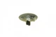 Покажчики повороту Peugeot/Citroen 6325G3 Peugeot 307, 107, 407; Citroen C5, C1, Berlingo, C2, C3 - зображення 3