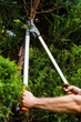 Sekator ogrodowy NEO Tools 765 mm 0-40 mm 15-251 (5907558464849) - obraz 15