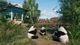 Ключ активации Planet Zoo: Console Edition для Xbox Series S/X - изображение 8