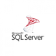 ПЗ для сервера Microsoft SQL Server 2022 - 1 Device CAL Charity, Perpetual (DG7GMGF0MF3T_0001CHR) (198575) - зображення 1