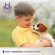 Парфум для собак та котів Hydra Groomers Forever Winner 130 мл 26990 - зображення 4