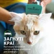 Фурмінатор FURminator для котів з короткою шерстю Short Hair розмір S - изображение 5