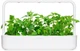 Wkład wymienny Click&Grow Kocimiętka 3 kapsułki (4742793007465) - obraz 5