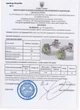 Серебряные серьги 925 пробы с кристаллами хризолита (перидота) "Sparking Chrysolite" - изображение 5