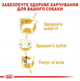 Сухой корм для собак породы джек рассел терьер Royal Canin Jack Russell Terrier 1.5 кг 2100015 - изображение 6