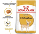 Сухой корм для собак чихуахуа Royal Canin Chihuahua 1.5 кг 2210015 - изображение 4