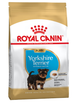 Сухой корм для щенков йоркширских терьеров Royal Canin Yorkshire Terrier Puppy 1.5 кг 39720151 - изображение 2