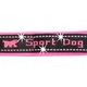 Повідець для собак Ferplast Sport Dog Matic G25/120 рожевий нейлоновий 2.5х120 cм 78004416 - зображення 5