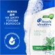 Шампунь против перхоти Head & Shoulders Свежесть Ментола 250 мл (8006540063385) - изображение 7