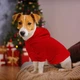 Худи для собак и котов EcoToys Red XL красное A: 37 см B: 43 см C: 29 см X-7061 - изображение 3