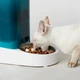 Смарт річниця автоматична для котів та собак PETKIT Fresh Element SOLO White (713106) - зображення 7