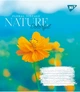 Набор тетрадей для записей YES Nature Colorful А5 96 листов в линию 5 шт (767181) - изображение 2