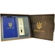 Подарунковий набір: Коробка + Кулькова ручка Parker IM 17 Brushed Metal GT BP 22 232_TR + Блокнот Axent Partner Ukraine Cиній - зображення 1