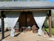 Прочная УЛИЧНАЯ ШТОРА, короткая 135*200 см (под трос), люверс D-12 мм, цвет: светло-серая - изображение 5