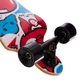 Лонгборд Бордволкинг Boardwalking из канадского клена SP-Sport SK-908 Черный - изображение 4