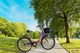 Велосипед городской Corso Travel 26" рама 16.5" розовый TR-1096 - изображение 5