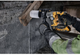 Акумуляторний перфоратор DeWalt SDS-Plus 18 В XR DCH172N без акумулятора та зарядного пристрою - зображення 5