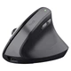 Мышка Trust Bayo 2 Ergonomic Wireless/USB-A Black (25145) - изображение 1