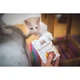 Вологий корм Brit Care Cat Pouch для котів, філе в соусі, качка, 85 г - зображення 3