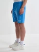 Шорты хлопковые короткие мужские Big Star Marquel S Голубые (5900714763336) - изображение 3