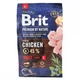 Сухой корм Brit Premium Dog Adult L для взрослых собак больших пород, с курицей, 3 кг - изображение 7