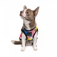 Борцовка Pet Fashion «Cool» для собак, размер XS2, с принтом - изображение 2