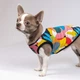 Борцовка Pet Fashion «Cool» для собак, размер XS2, с принтом - изображение 5