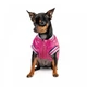 Бомбер Pet Fashion Grace для собак S - изображение 3