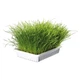 Трава Trixie Soft Grass для котів та кошенят, контейнер, 100 г - зображення 2