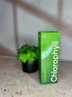 Хлорофилл концентрированный жидкий детокс и очищение организма Choice 50мл - изображение 3