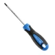 Отвертка Torx магнитная Hoegert S2 T10 х 100 мм (HT1S053) - изображение 1